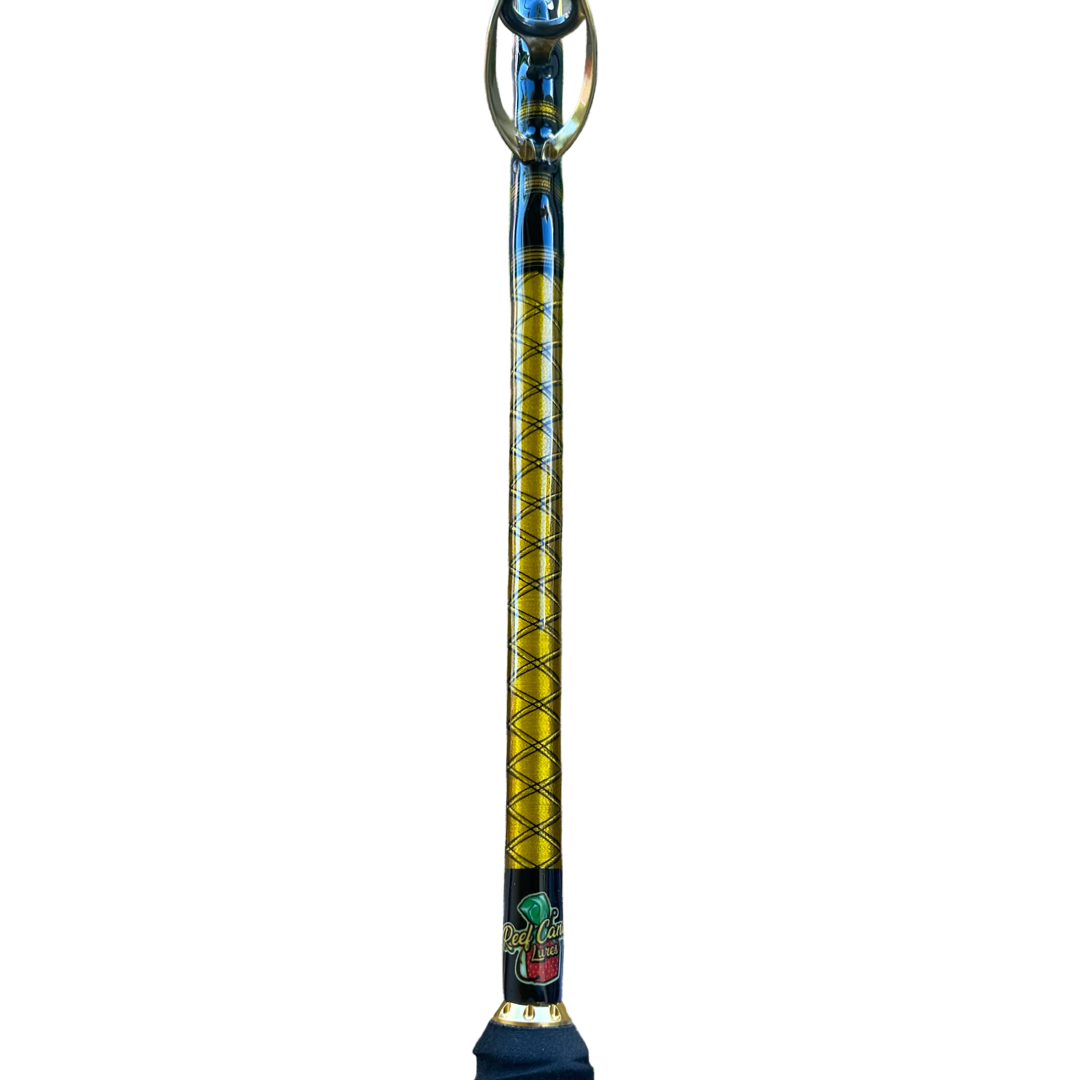 Live bait rod/ kayak or small watercraft rod and reel combo