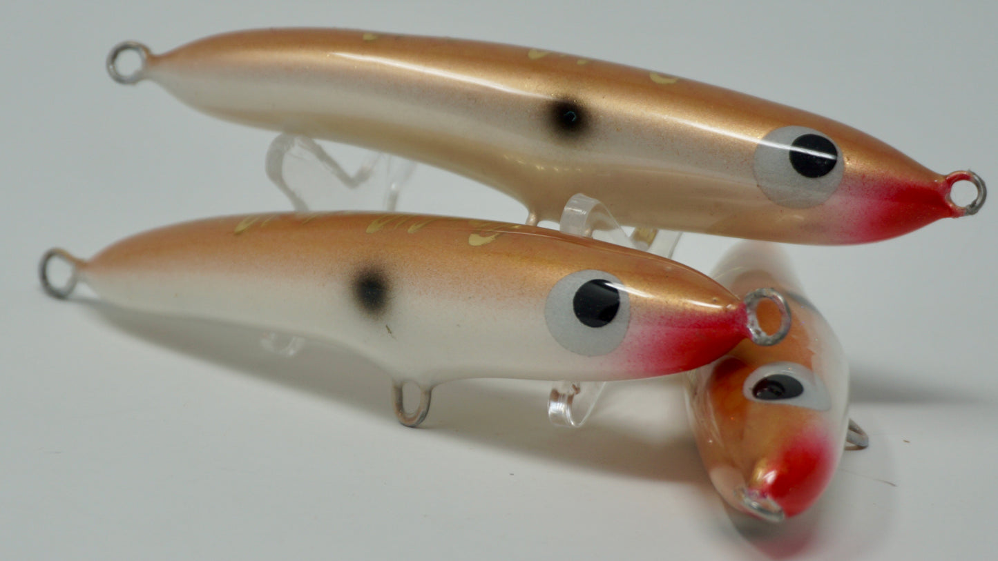 Guppy